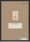 Coscinodiscus lineatus Ehrh. (de-Toni-Nr.: Genus 202, Species 4900) Zeichnungen Sammlung Grunow Nr. 8661 (NHMW-BOT-W0378067)